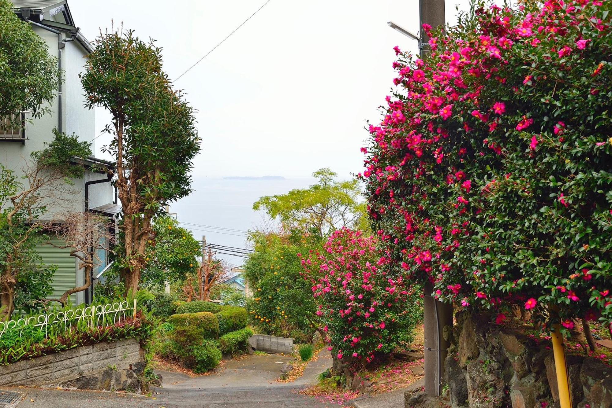 Holiday House 川奈 Ito  Exterior photo